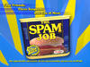 The SPAM Job - 2009 Lakedance Film Festival, Sandpoint Idaho