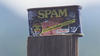 The SPAM Job - 2009 Lakedance Film Festival, Sandpoint Idaho