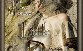 Little Dove Poster - 2009 Lakedance Film Festival, Sandpoint Idaho